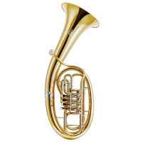 Tenorhorn